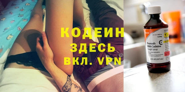 хмурый Каменка