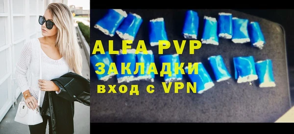 хмурый Каменка