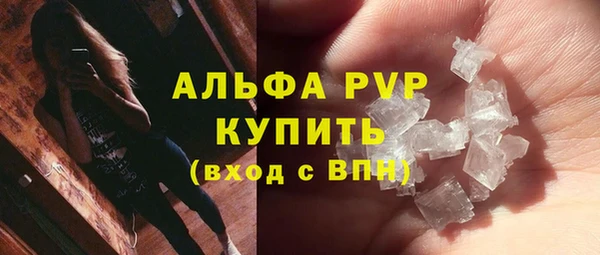 дживик Касимов