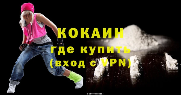 хмурый Каменка
