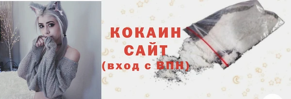 хмурый Каменка