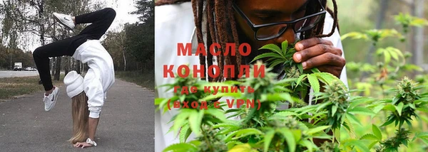 хмурый Каменка
