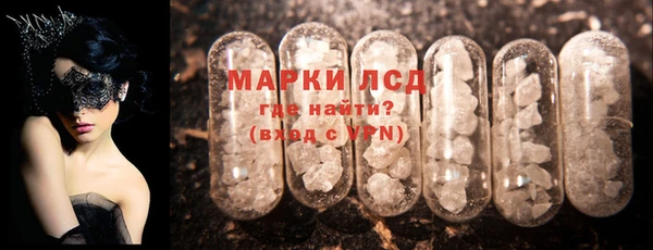 хмурый Каменка