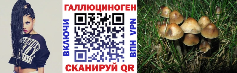МЕГА как зайти  Мурманск  Псилоцибиновые грибы мицелий 