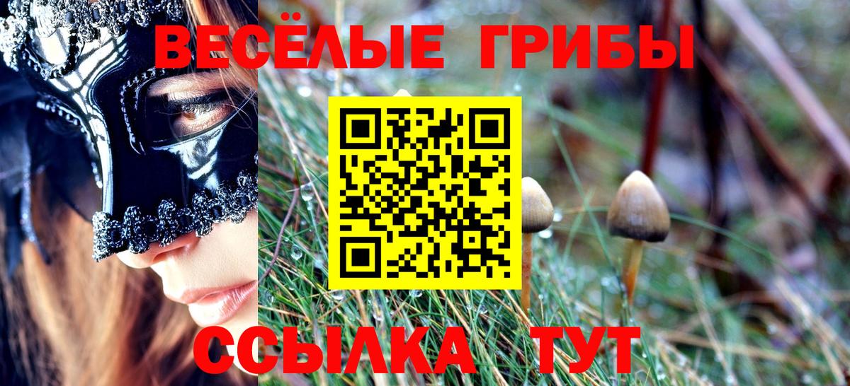 Галлюциногенные грибы мухоморы Мурманск