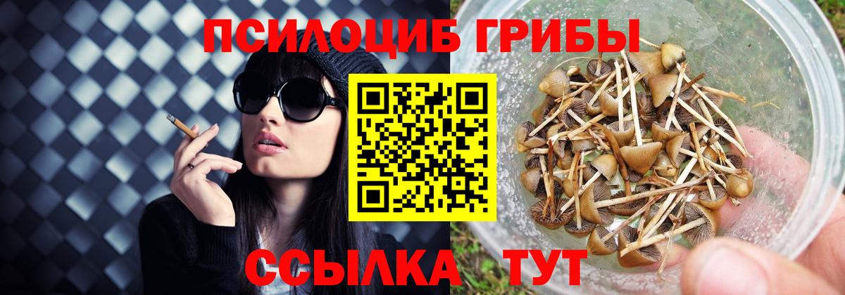 Галлюциногенные грибы ЛСД  Галлюциногенные грибы прущие грибы  Вход с VPN  Мурманск 